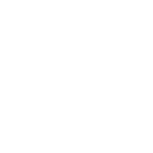 The foundation to expand regionally and globally